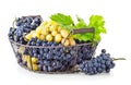 Basket blue and white grapes with green leaf Royalty Free Stock Photo