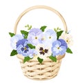 Basket with blue and white pansy flowers. Vector illustration. Royalty Free Stock Photo