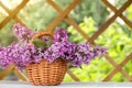 Basket with a bouquet of lilac flowers on a white wooden table in the summerhouse in the garden Royalty Free Stock Photo