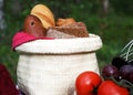 A basket with bread at a picnic Royalty Free Stock Photo