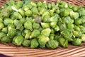 Basket of bright green brussels sprouts