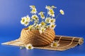 Basket with camomiles Royalty Free Stock Photo