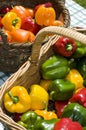 Basket of capsicums Royalty Free Stock Photo