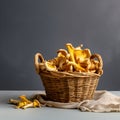 Basket with chanterelle mushrooms