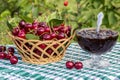 Basket of cherries and cherry jam on background of cherry tree Royalty Free Stock Photo