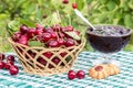 Basket of cherries and cherry jam with biscuit on background of cherry tree Royalty Free Stock Photo