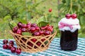 Basket of cherries and cherry jam jar on background of cherry tree Royalty Free Stock Photo