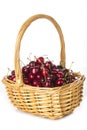 Basket with cherries isolated on a white background Royalty Free Stock Photo