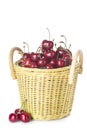 Basket with cherries isolated on a white background Royalty Free Stock Photo