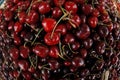 Basket of cherries at the market Royalty Free Stock Photo