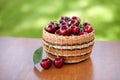 Basket of Cherries on Table