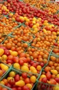 Basket Cherry Tomatoes