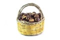 Basket of Chestnuts Royalty Free Stock Photo