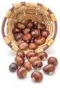 Basket with chestnuts. Isolated on white background Royalty Free Stock Photo