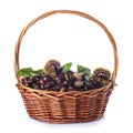 Basket with chestnuts isolated on a white background Royalty Free Stock Photo