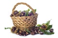 Basket with chestnuts isolated on a white background Royalty Free Stock Photo