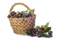 Basket with chestnuts isolated on a white background Royalty Free Stock Photo