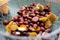 A basket with chestnuts picked from the tree and pieces of the hedgehog.