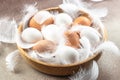 basket of chicken eggs on a dark background. top view Royalty Free Stock Photo