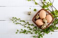 Basket with chicken and quail eggs, green young branches on a white wooden background. Easter spring background Royalty Free Stock Photo