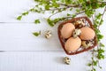 Basket with chicken and quail eggs, green young branches on a white wooden background.Easter spring background Royalty Free Stock Photo