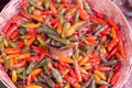 Basket of Chiles Royalty Free Stock Photo