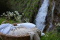 basket of clean bedding by a gushing hillside water source