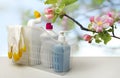 Basket of cleaning products, rubber gloves on the table on blurry spring background with apple blossoms Cleaning concept Royalty Free Stock Photo