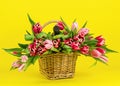 Basket With Colorful Bouquets Of Tulips And Bottle Of Wine On Yellow