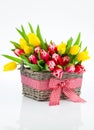 Basket with colorful bouquets of tulips