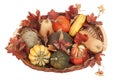 Basket of colorful fall squash harverst and leaves