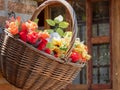 A basket of colorful plasic flowers Royalty Free Stock Photo