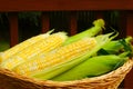 Basket of corn