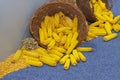 Basket of Corn Royalty Free Stock Photo