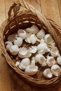 Basket of crushed egg shell Royalty Free Stock Photo