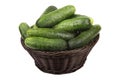 Basket with cucumbers