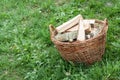 Basket of cut logs fire wood on green grass, environmental concept