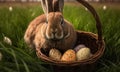 Basket with a cute fluffy rabbit and multi colored Easter eggs Royalty Free Stock Photo
