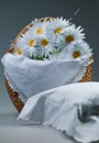 Basket with daisies