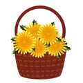 a basket with dandelions hand-painted on a white background