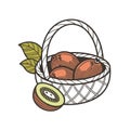 Basket with Dates and Kiwi Fruit Illustration Royalty Free Stock Photo