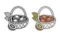 Basket with Dates and Kiwi Fruit Illustration Royalty Free Stock Photo