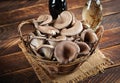 Basket of delicious organic oyster mushrooms