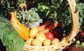 A basket with different kinds of vegetable Royalty Free Stock Photo