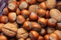 In the basket of different types of nuts in-shell hazelnuts and walnuts. Royalty Free Stock Photo