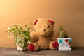 Basket of dry flowers and a teddy bear with pots of cactus on wooden table