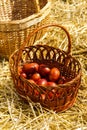 Basket with dyed chicken eggs