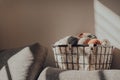 Basket of earth coloured yarn inside an apartment, sunlight, selective focus Royalty Free Stock Photo