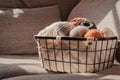 Basket with earth coloured yarn on a sofa, sunlight and warm tones Royalty Free Stock Photo