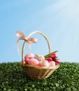 Basket with Easter eggs on the green grass. Easter composition with eggs in a basket, rabbit and tulips on a sunny day. Space for Royalty Free Stock Photo